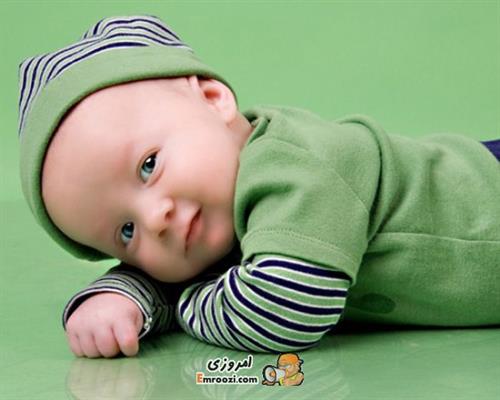 nafiseh&nbsp;mohseni